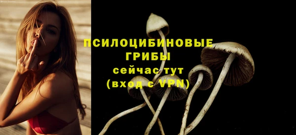 не бодяженный Нягань