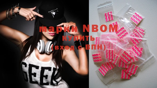 метадон Няндома